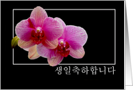 korean birthday 2 hot pink orchid card