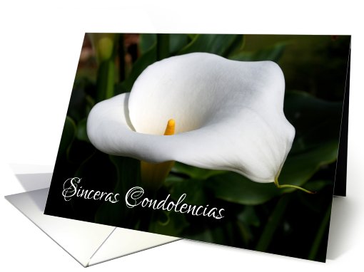 lily condolences spanish card (561011)