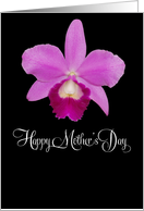 mother’s day card with isolated pink Cattleya orchid card