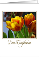 golden tulips Italian Compleanno card