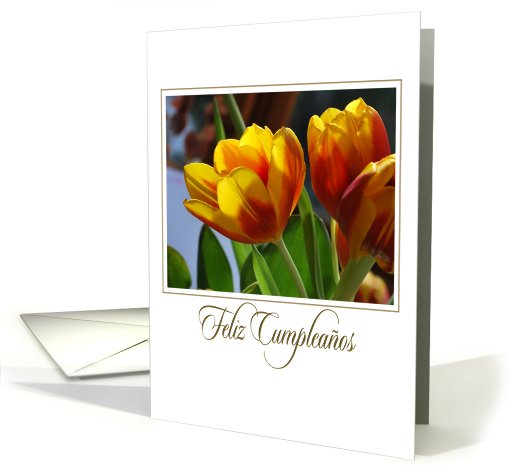 golden tulips Spanish Feliz Cumpleanos card (668604)