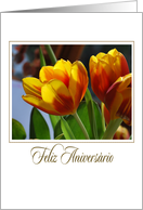 golden tulips portuguese feliz aniversario card