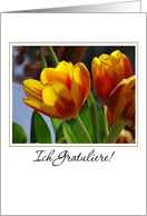 golden tulips German congratulations card