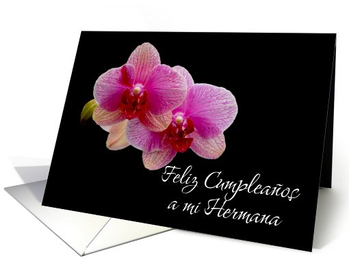 Happy birthday sister spanish 2 purple orchids card (668672)