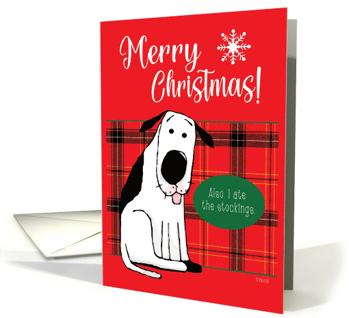 Christmas Dog Ate the Stockings card (1803824)
