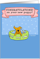 Cute Congratulations on Your New Puppy card