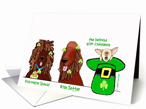 Beloved Irish Chihuahua Happy St. Patrick's Day card (46815)