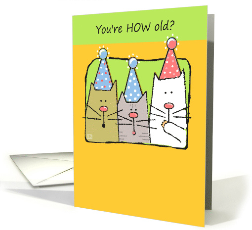 You're How Old Cute Cats in Birthday Party Hats card (50426)