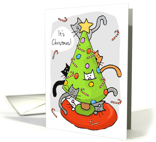 Cats in Christmas Tree Candy Canes Flying card (535638)