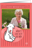 Photocard Mother’s Day World’s Best Dog Mom card