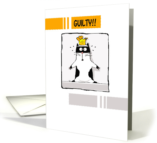Guilty Cat With Bird Funny Belated Birthday card (936274)