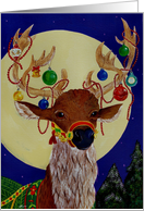 Festive Reindeer decorated for Christmas card