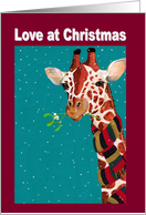Festive Giraffe, giraffe and mistletoe, Christmas card