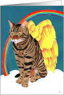 Angel Cat, pet sympathy card