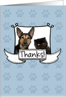 Thanks Pet Sitter - Photocard card
