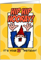 hip hip hooray - 12th birthday card