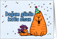 happy birthday cat - Turkish card