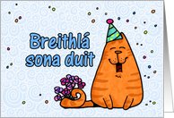 happy birthday cat - Irish card