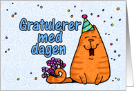 happy birthday cat - Norwegian card