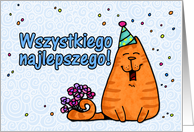 happy birthday cat - Polish card
