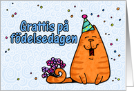 happy birthday cat - Swedish card