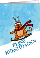 fijne kerstdagen - Dutch card