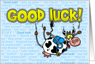 good luck! - skydive card