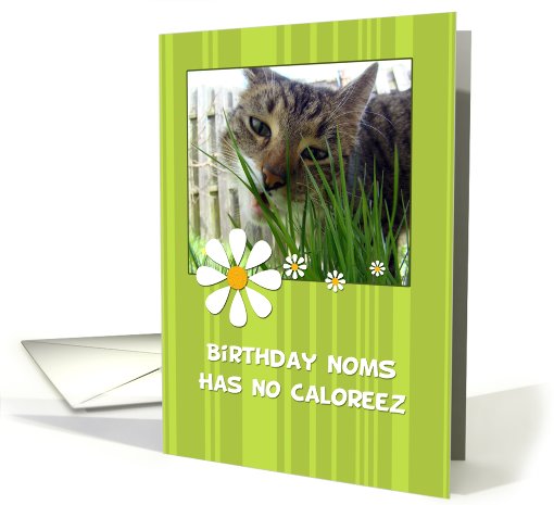 Birthday Noms Has No Caloreez, cat eating grass card (621437)