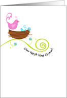 Bird in Nest with Blue Chick - Birth Announcement card