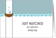 Just Hatched Baby Boy Birth Announcement card