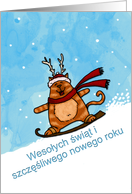 Polish - Snowboard cat Christmas card