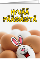 Finnish - Easter Egg Bunny card