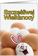 Polish - Easter Egg Bunny card