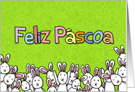 Portuguese - easter bunnies card