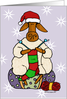 Christmas Knitting Sheep in Santa Hat Knitting Pretty Humor card