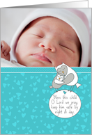 Owls - Baby Boy Birth Announcement - Customizable Photo card