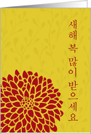 Chrysanthemum - Chinese New Year - Korean card