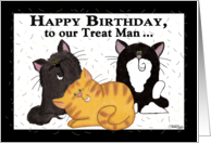 Happy Birthday to Our Treat Man Three Shedding Cats card