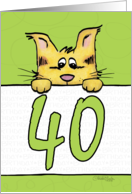 Age Specific Happy 40th Birthday Scaredy Cat card