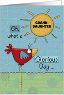 Customized Happy Birthday for Granddaughter Bird in Sunshine card