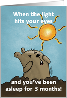 Humorous Happy Groundhog Day Groundhog Squints at the Sun card