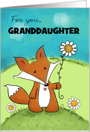 Customized Birthday for Granddaughter A Little Love Fox with Daisy card