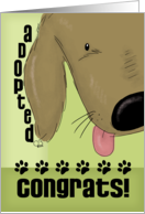 Congratulations on Adopting a Dog Happy Dog and Paw Prints card