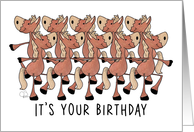 Chorus Line of Horses Pun Happy Birthday card