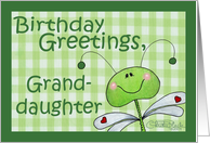 Birthday for Granddaughter-Dragonfly Gingham card