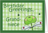 Birthday for Grandniece-Dragonfly Gingham card