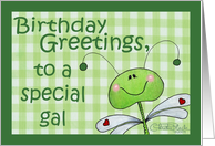Birthday for special gal-Dragonfly Gingham card