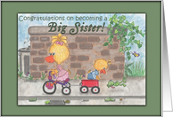 Congratulations on Becoming Big Sister New Brother Ducks card