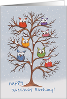 Month of January Birthday Owls in Snowy Tree card