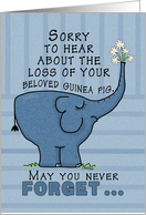 Pet Loss Sympathy for Guinea Pig-Elephant with Flowers card